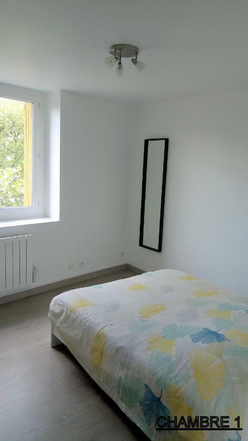 Les Cactus Daire Saint-Etienne  Dış mekan fotoğraf